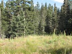 Hidden Lake Lot 20 
